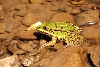 /album/makro/img-7777-jpg/
