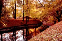 /album/widoki/a05-jpg/